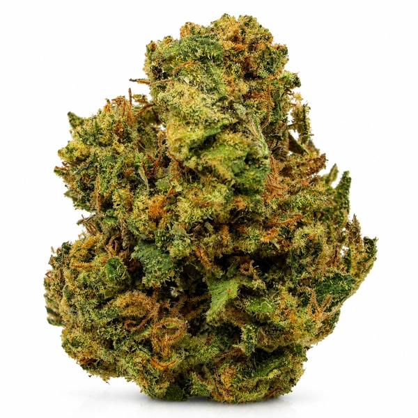 HALIE BERRY (BUDGET) on the Gas Junction Cannabis delivery menu